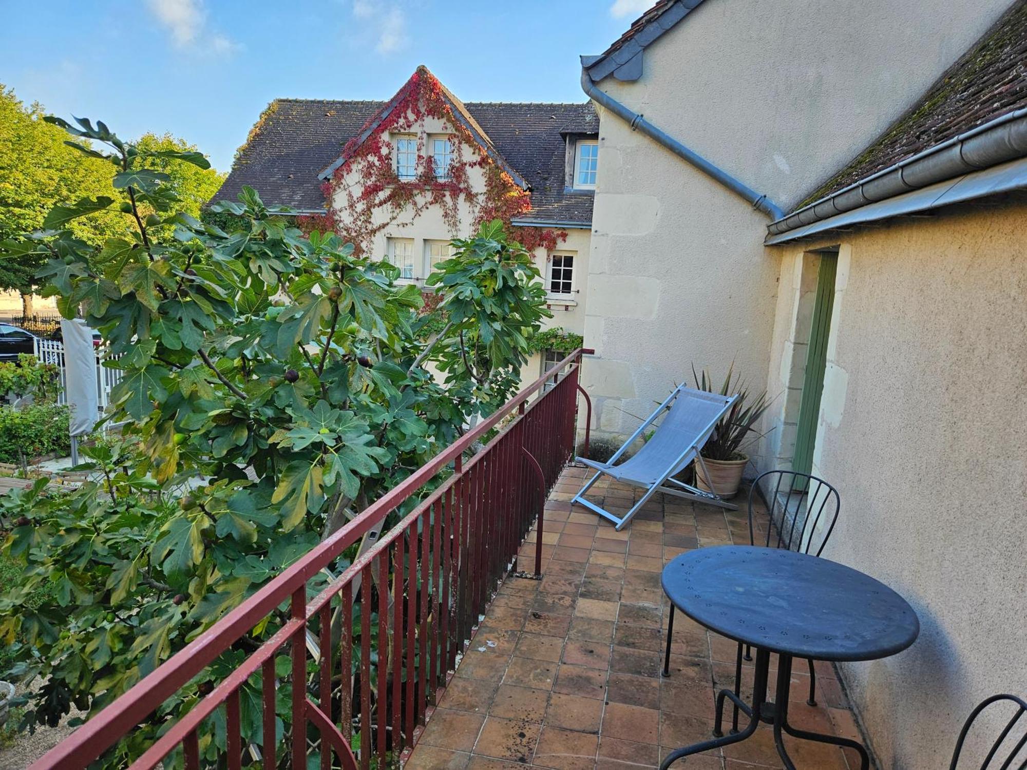 Logis Hotel Restaurant Relais De La Mothe Yzeures-sur-Creuse Exterior foto
